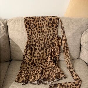 Zara Leopard Print Mini Dress